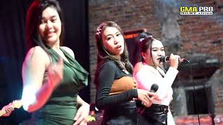 Download lagu mawar rimba music 'PEMSA 01' mp3 Download lagu mawar rimba music 'PEMSA 01' mp3