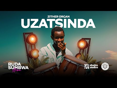 Zither Organ and 2 more