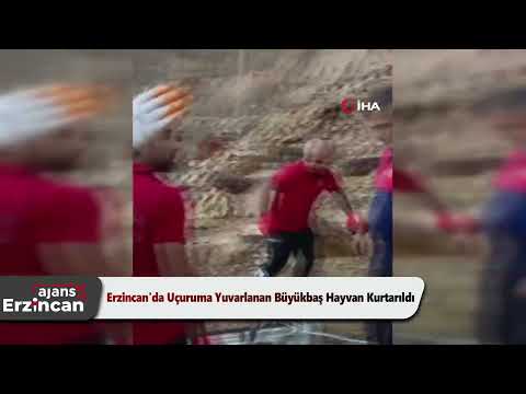 Erzincan'da Uçuruma Yuvarlanan Büyükbaş Hayvan Kurtarıldı