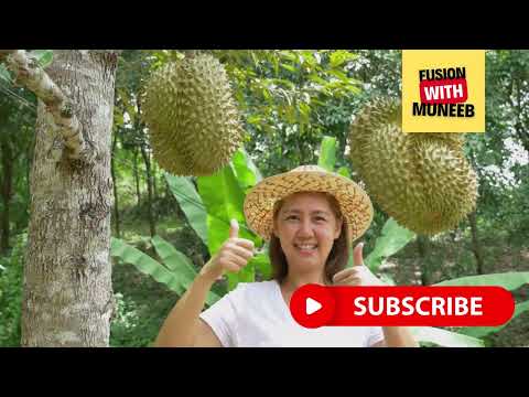 Forest Foods l Edible Plants & Fruits