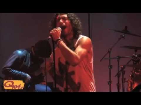 Sons Of Albion - Dorothea (Live)