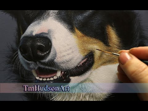 Paint realistic fur - painting the edge/border line of markings/patches/colour transition in acrylic
