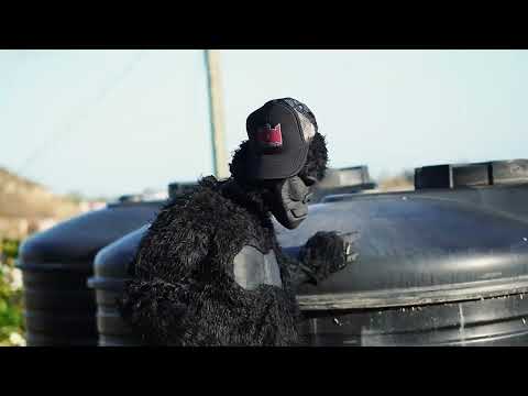 Jab King - No Capping {Promo video} (No Capping Riddim) Bouyon 2024