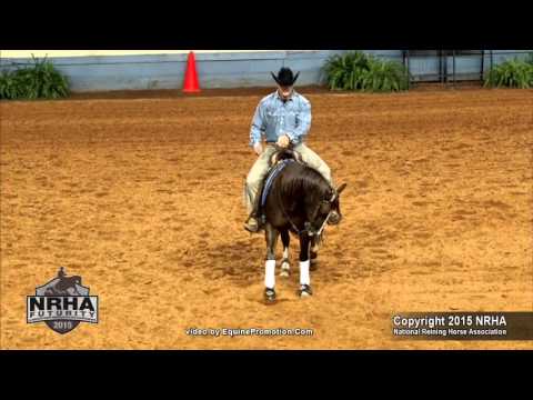 Hot Little Rebel ridden by Garth Hystad  - 2015 NRHA Futurity (NP Futurity First Go - Sec. 2)