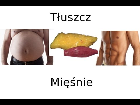 Jak szybko budować mięśnie i wagę Ćwiczenia na mięśnie łydek dla kobiet wideo