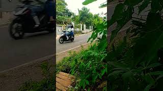 Download lagu kumpulan cewek cantik naik motor mp3