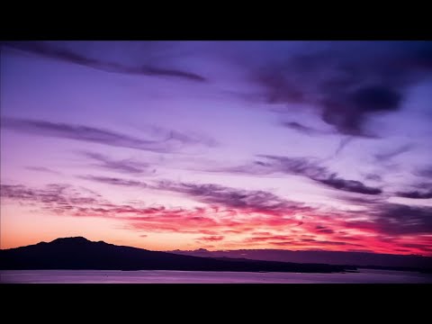 Miley Cyrus - Flowers (Demo) Lyrics   Aziza Qobilova, Miguel, Miley Cyrus