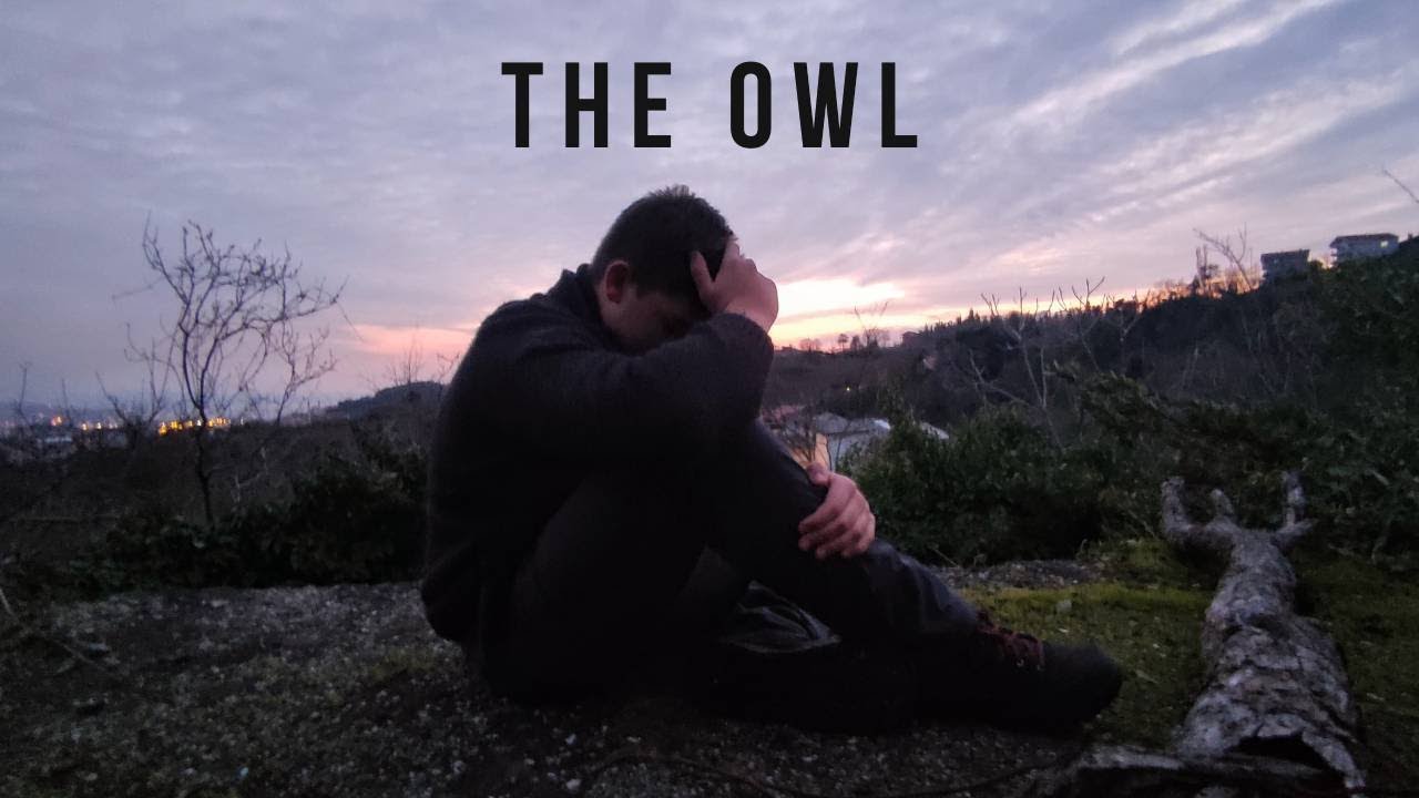 The Owl (Baykuş) - Short Film
