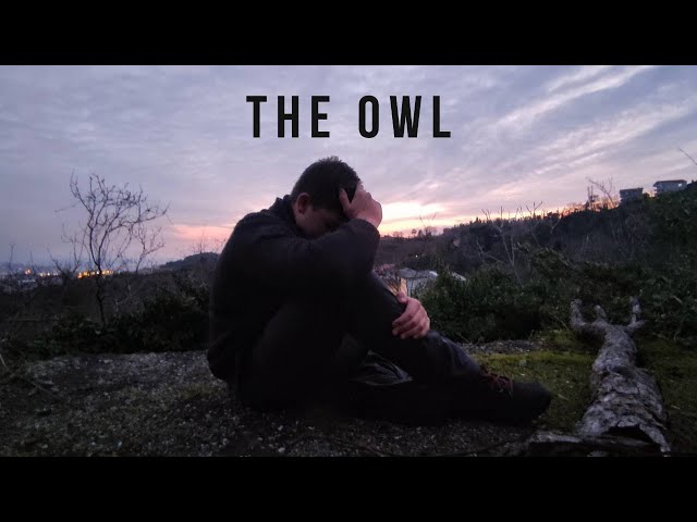 The Owl (Baykuş) - Short Film