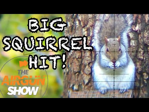 The Airgun Show | Ultimate Squirrel Hunting | Crosman Prospect PCP Review