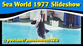 preview picture of video 'Sea World OH 1977 Shamu Super Hero Ski Show Marine Animals Geauga Lake in Background'