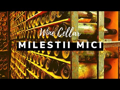 🍾 Massive Underground City Filled With Wine | Milestii Mici | Moldavia