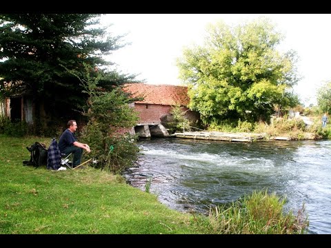 Ray Walton - HAMPSHIRE AVON, BRITFORD FISHERY, BRITFORD, Nr SALISBURY, WILTSHIRE