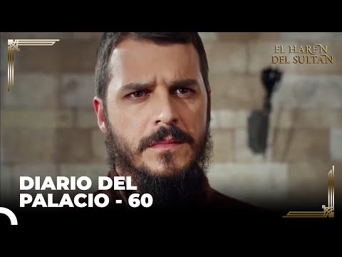 Mustafa Está Cuidando De Atmaca