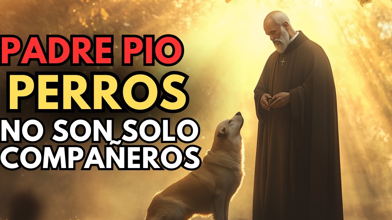 Padre Pío Reveló el Destino de Quienes Tienen Perros en Casa