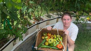 Our Backyard Garden Is Finally Paying Off + The Silkies Have a Coop