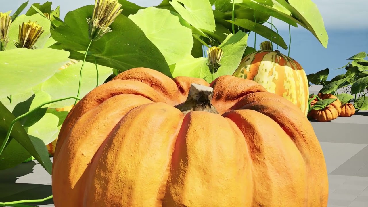Vigne de citrouille Modèle 3D