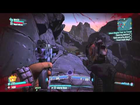 Borderlands 2 - What does it mean? Guide