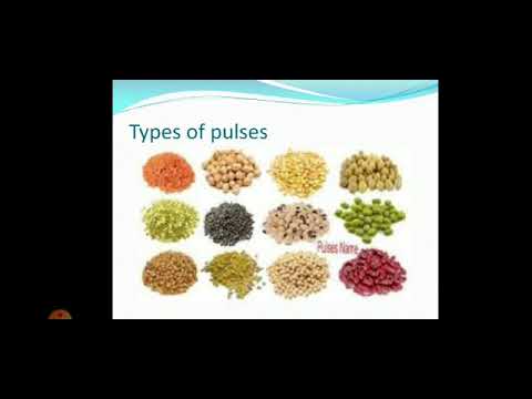 EVS | Class 5 | Seeds and Seeds