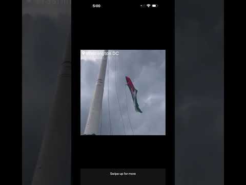 They’re burning Our Flags in D.C Right Now… #shortsfeed #hamas #D.Criots #riot #democrats #biden Thumbnail