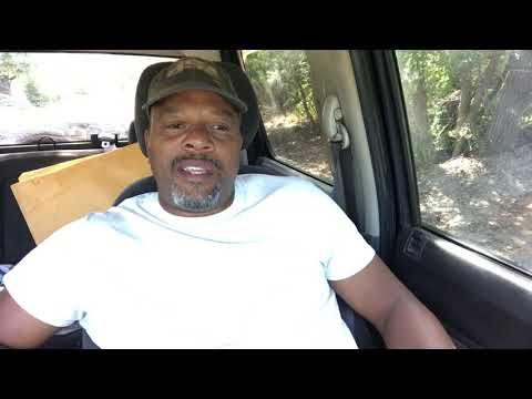 YouTube video about: Should I buy a dog without papers?