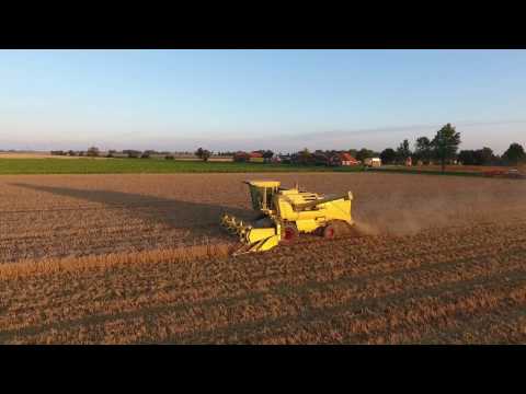 Graan oogst - Elema Oudeschip - New Holland Clayson 1550