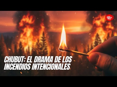 Chubut: El drama de los incendios intencionales