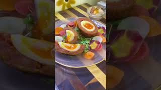 Mmmmmm 🥚🤤 #scotcheggs #asmr #egg #easy #sausage #bentonoods #fyp