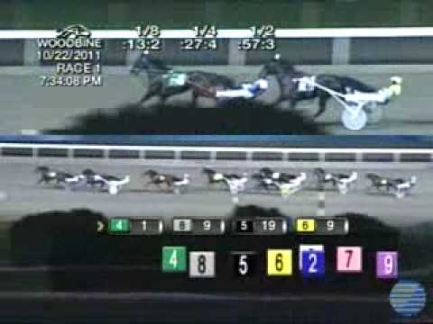 Breeders Crown 3Y Trot Filly 2nd Heat 2011 -Cedar Dove