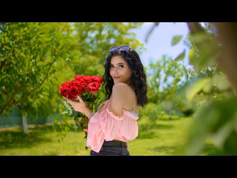 Mafia Corner and Basta Fix