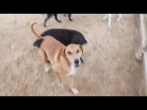 Vídeo de MADDOX