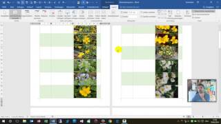 Word Macro: Insert Photos in a Table with File Selection Dialog