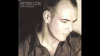 What A Fool Believes - Peter Cox