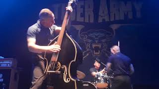 Tiger Army - &quot;Jungle Cat&quot; (Clip) Live @ El Plaza Condesa 11/03/2017