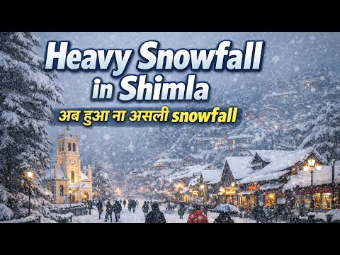 Heavy Snowfall in Shimla | Shimla Snowfall today | Shimla weather today | Kufri | Shimla today