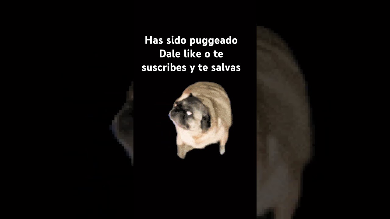Te ha puggeado