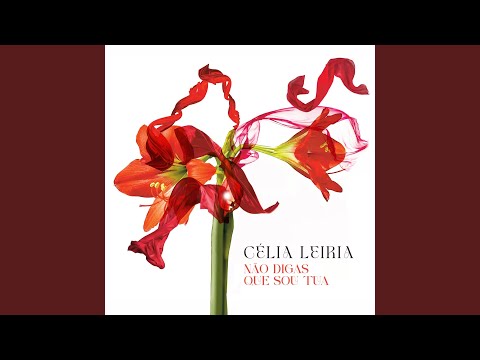 Não digas que sou tua