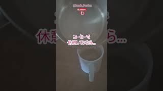 🇨🇦突風＋停電＝カオス！？