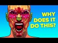 20 Things Your Body Does That You Don T Know Why
