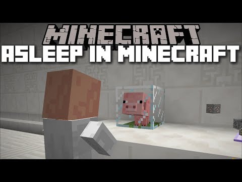 Minecraft DON'T FALL ASLEEP IN MINECRAFT!! ADVENTURE MAP!! Minecraft