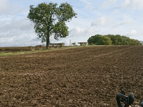 CS midweek dig in Northampton