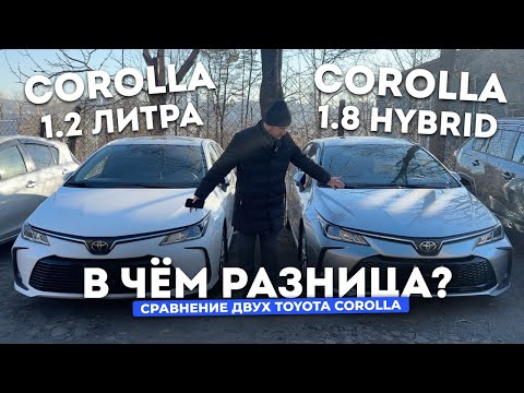 Comparison of two Toyota Corollas from China / 1.2 Liter vs. 1.8 Hybrid / Which one to choose? / ...