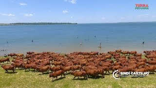 Miniatura do vídeo