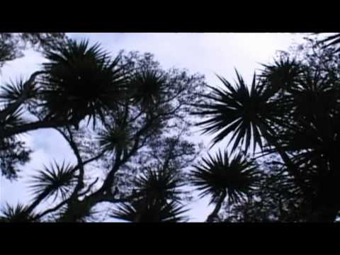 Discovery.Ch.Prehistoric.Predators.of.the.Past.1of3.What.Killed.the.Mega.Beasts.