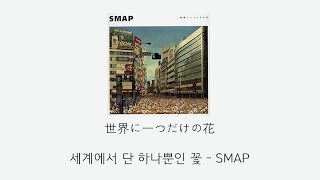 SMAP - 세상에 하나뿐인 꽃(世界に一つだけの花) [가사/발음/해석]