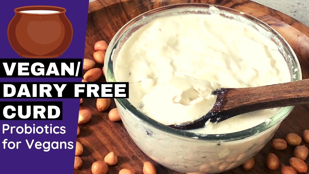 Vegan / Dairy Free Curd Recipe | Probiotics For Vegans | How to Make Easy Vegan Peanut Curd At Home