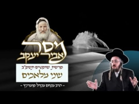 מסר אביר יעקב - שופטים תשפ"ב