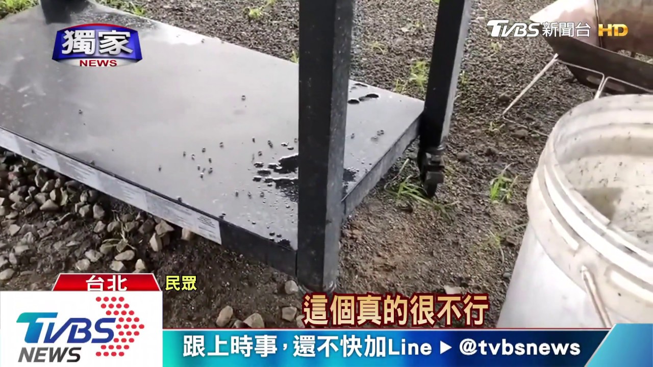 烤肉蒼蠅來開趴! 女控「網美露營地」環境糟