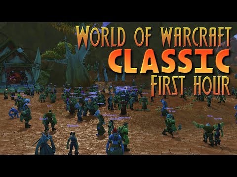 First Hour of Leveling MADNESS in CLASSIC WOW