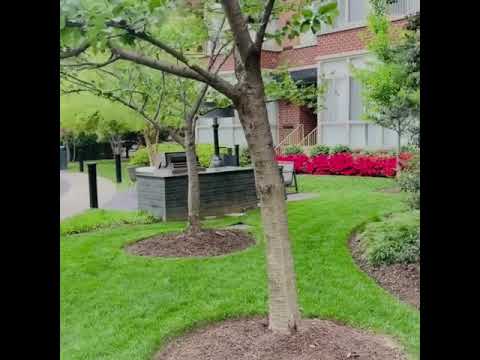 Take a Tour of Our Fabulous Courtyard